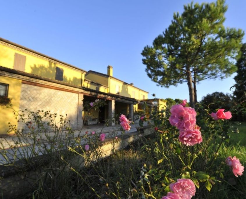 Perfume making classes Natural perfumery courses by perfumer